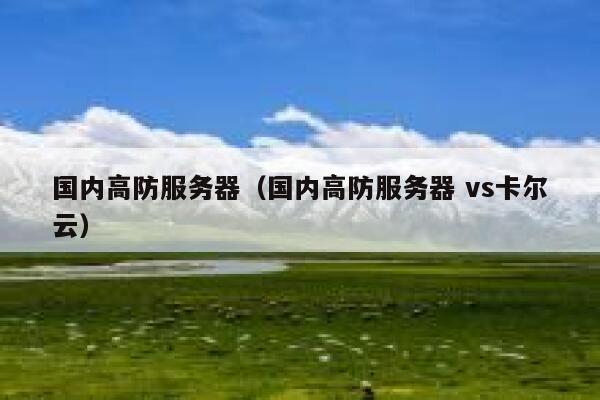 国内高防服务器（国内高防服务器 vs卡尔云）