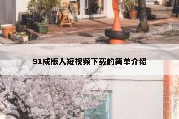 91成版人短视频下载的简单介绍