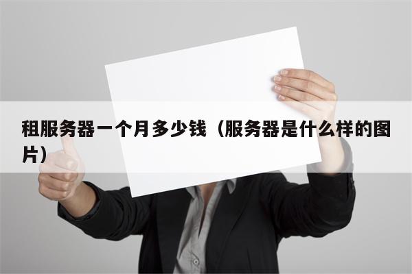 租服务器一个月多少钱（服务器是什么样的图片）