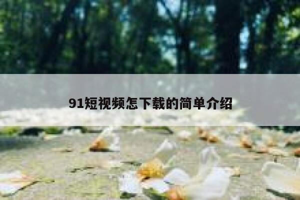91短视频怎下载的简单介绍