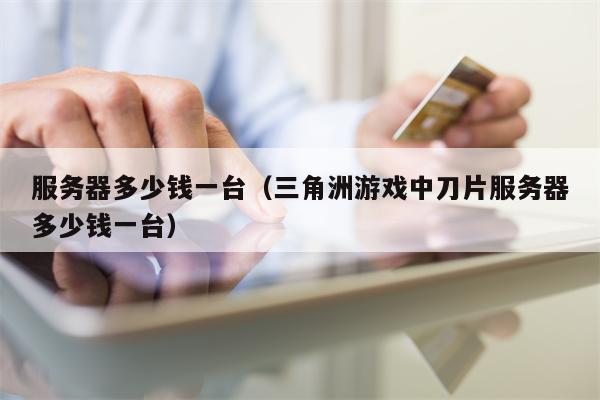 服务器多少钱一台（三角洲游戏中刀片服务器多少钱一台）