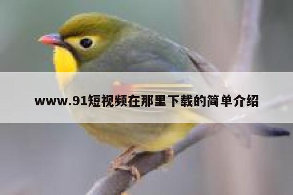 www.91短视频在那里下载的简单介绍