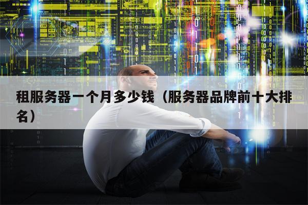 租服务器一个月多少钱（服务器品牌前十大排名）