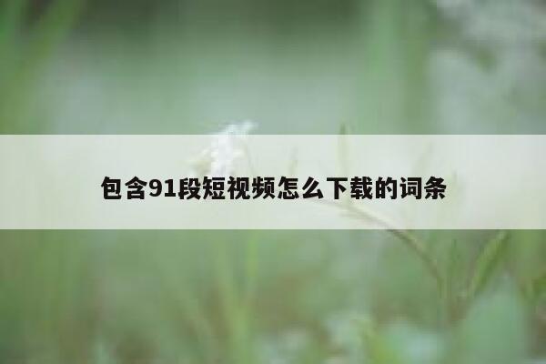 包含91段短视频怎么下载的词条
