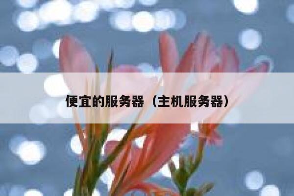 便宜的服务器（主机服务器）