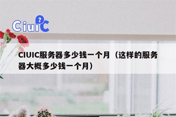CIUIC服务器多少钱一个月（这样的服务器大概多少钱一个月）
