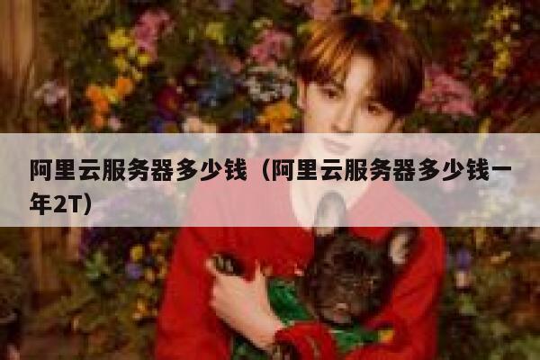 阿里云服务器多少钱（阿里云服务器多少钱一年2T）