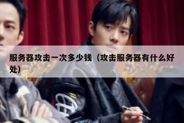 服务器攻击一次多少钱(攻击服务器有什么好处)