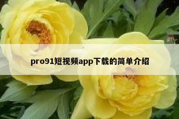 pro91短视频app下载的简单介绍