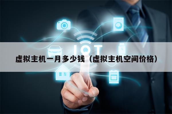 虚拟主机一月多少钱(虚拟主机空间价格)