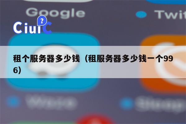 租个服务器多少钱（租服务器多少钱一个996）