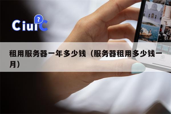 租用服务器一年多少钱(服务器租用多少钱一月)