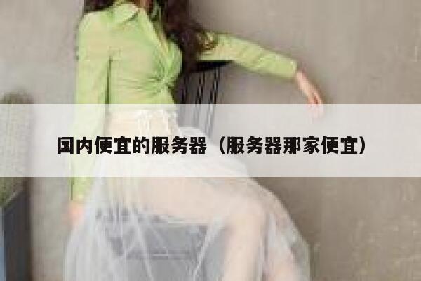 国内便宜的服务器(服务器那家便宜)