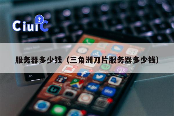 服务器多少钱（三角洲刀片服务器多少钱）