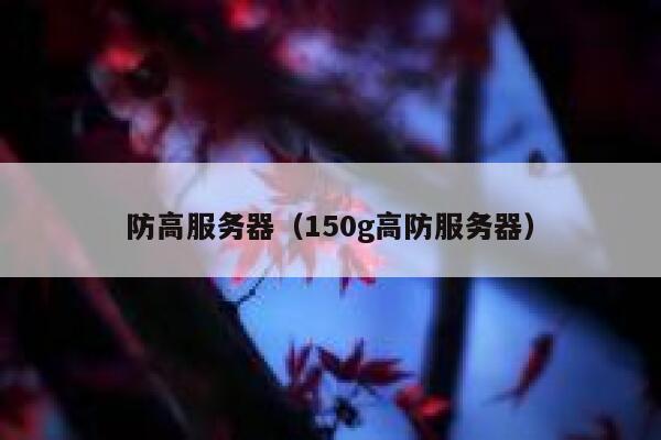防高服务器（150g高防服务器）