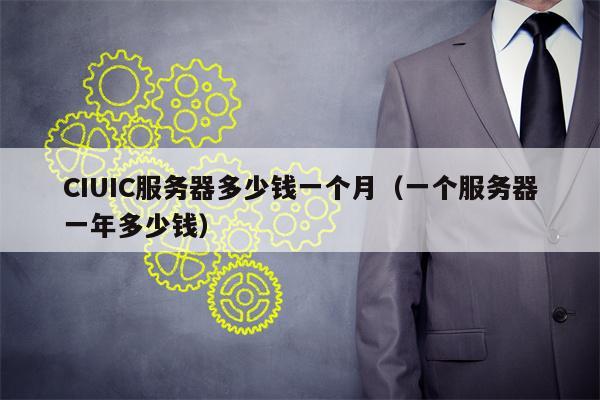 CIUIC服务器多少钱一个月（一个服务器一年多少钱）