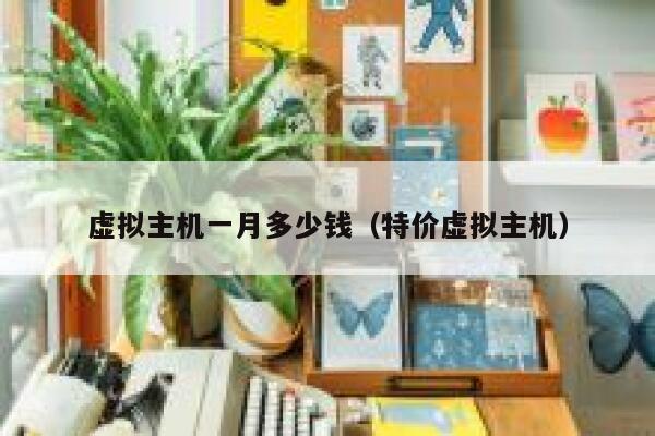 虚拟主机一月多少钱（特价虚拟主机）
