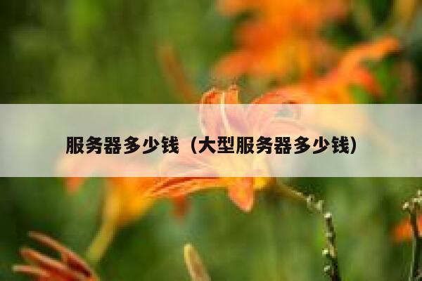 服务器多少钱（大型服务器多少钱）