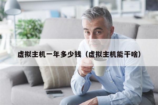 虚拟主机一年多少钱（虚拟主机能干啥）